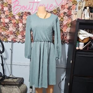 Long Sleeve Textured A-Line Dress in Soft Sage